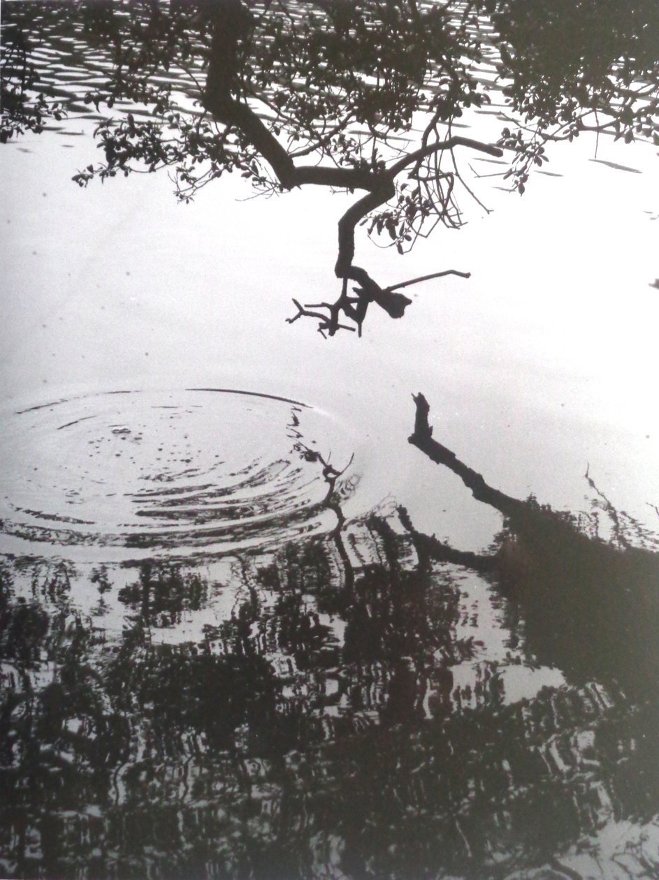 Vintage zwart-wit foto nr. 5, 1986 door Peter McClure