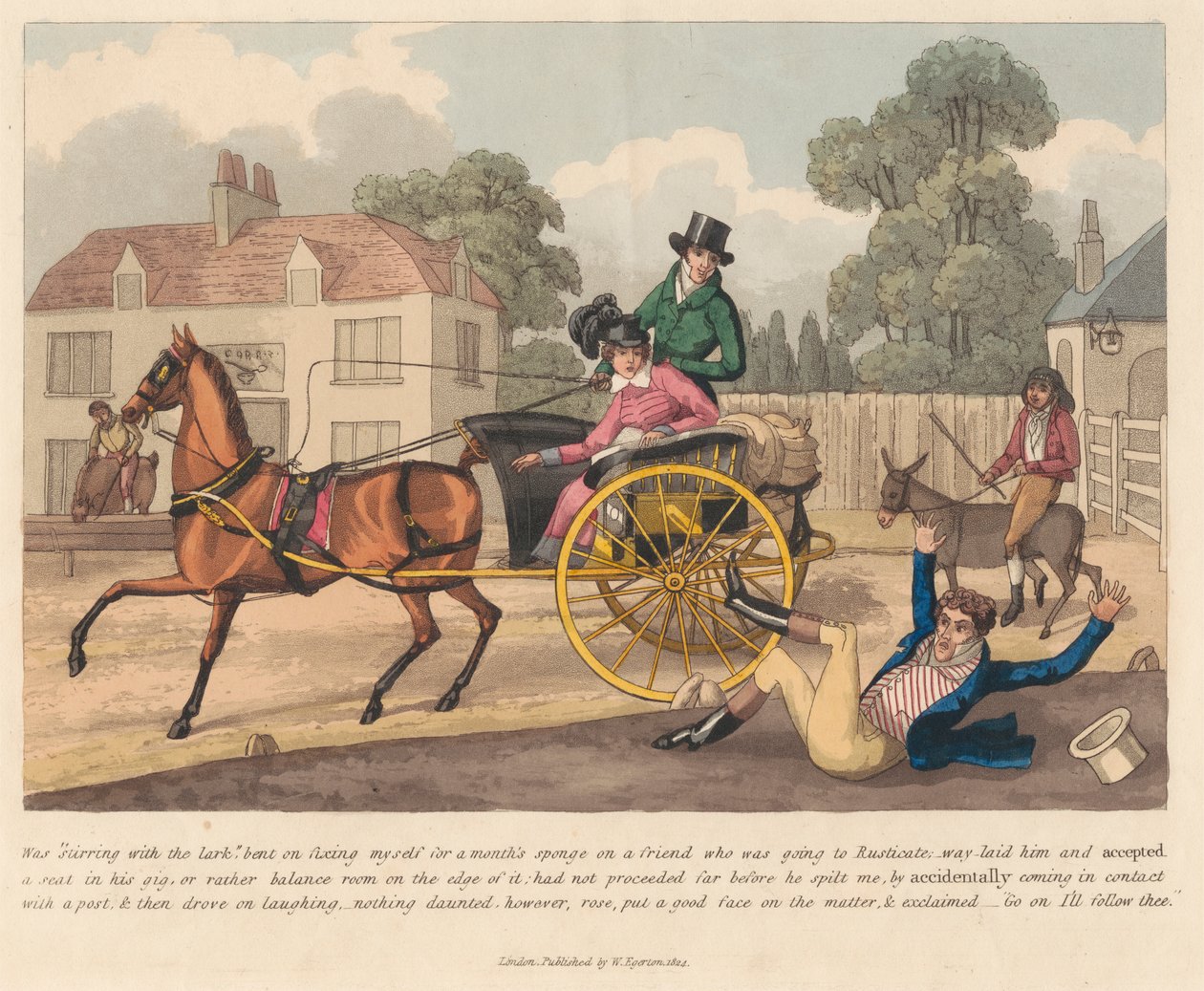 Een van een set van 6: Een dagboek van een spons door Peter Pasquin