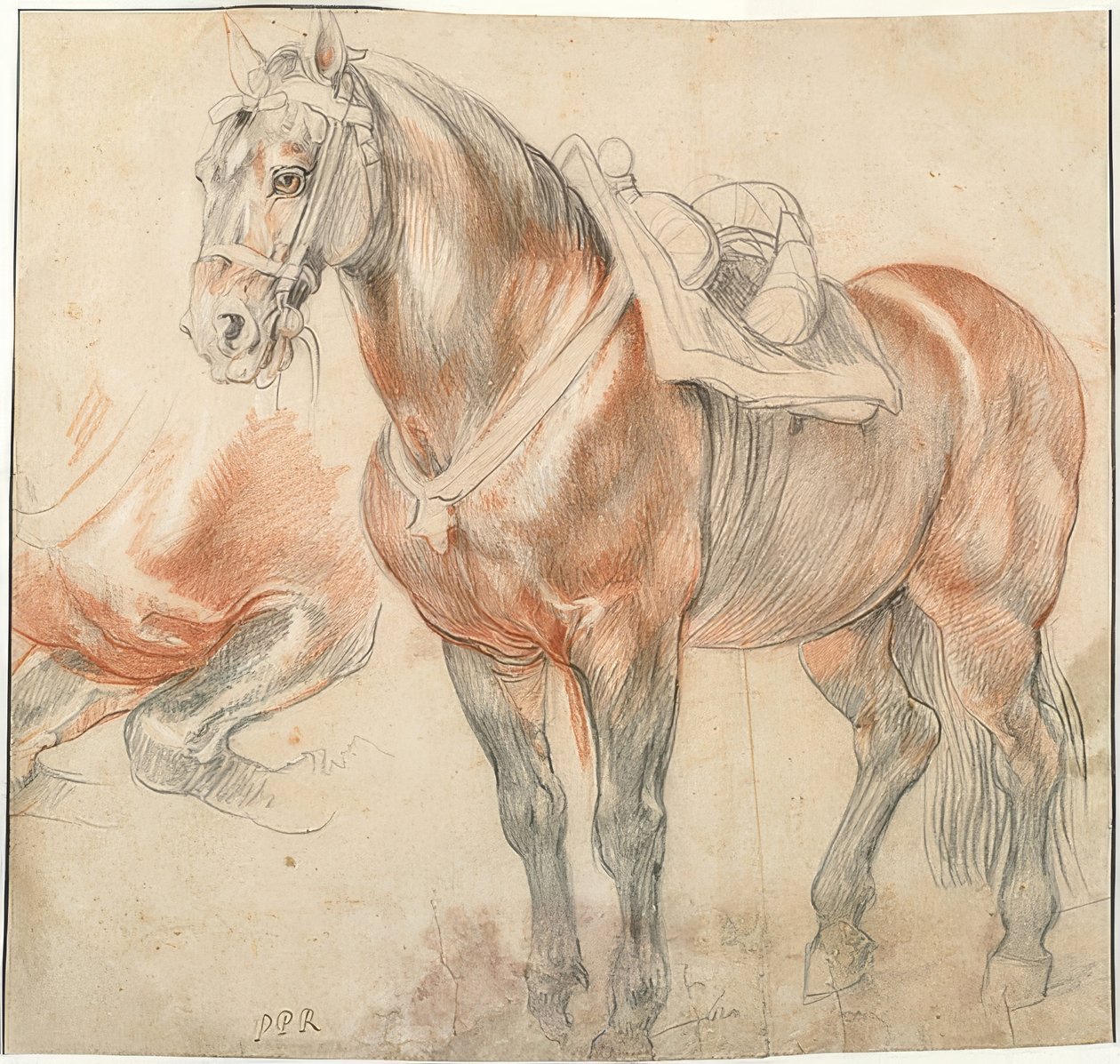 Gezadeld paard. Om 1615-18 door Peter Paul Rubens