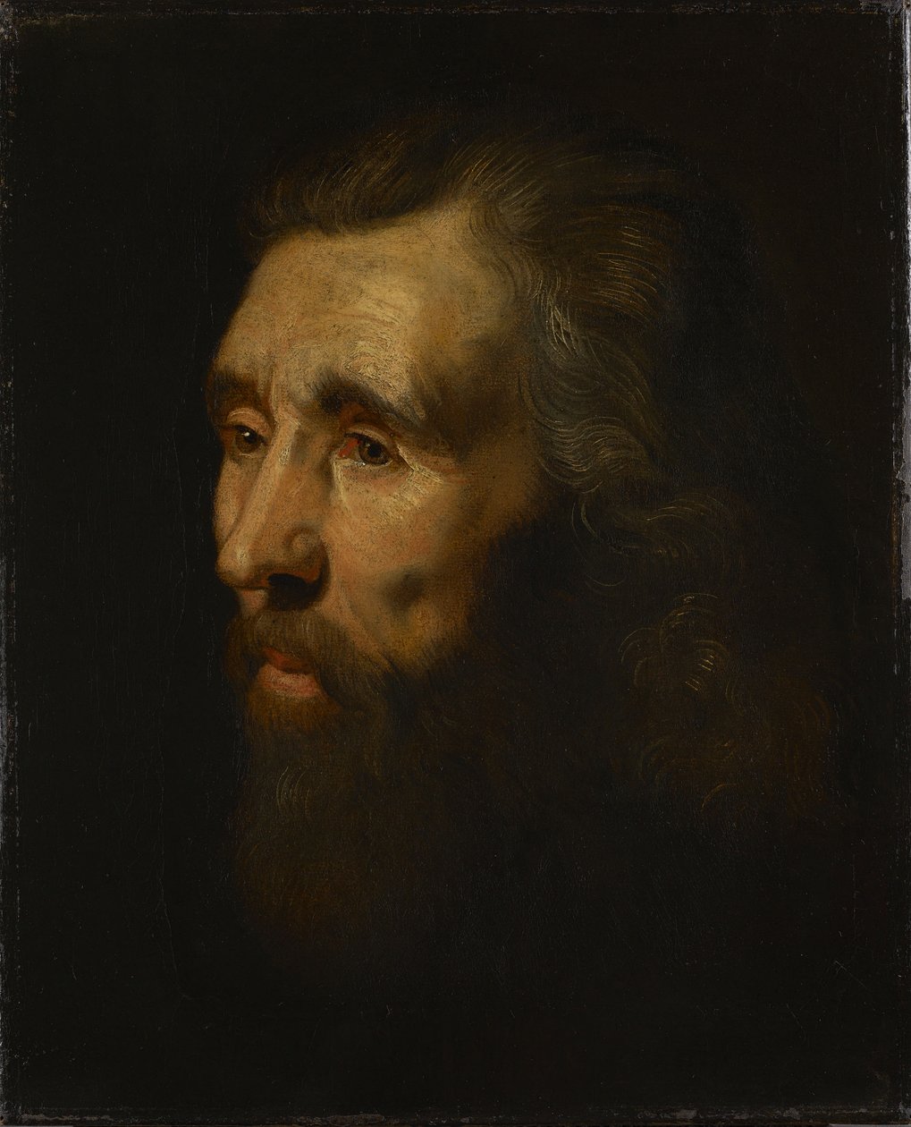 Hoofd van een bebaarde man door Peter Paul Rubens