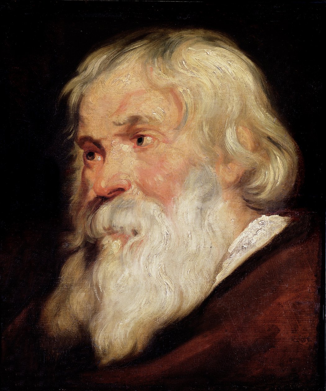 Hoofd van een oude man door Peter Paul Rubens