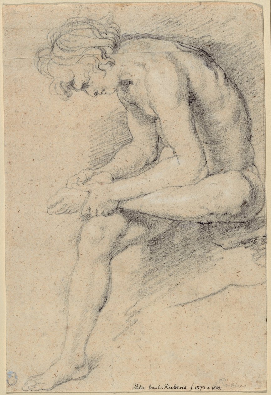 Naakte jongeling in de pose van de Spinario door Peter Paul Rubens