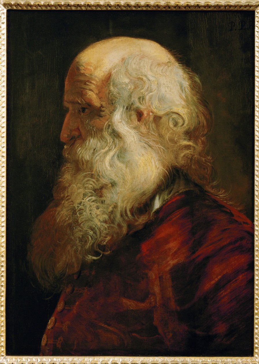 Studie van een oude man, c.1610 (schilderij op eikenhout) door Peter Paul Rubens