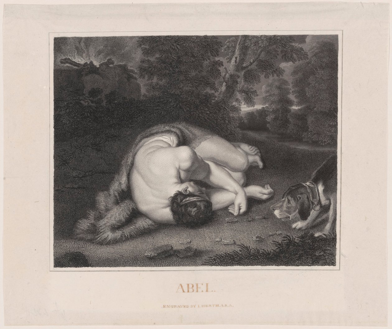 De dood van Abel door Peter Paul Rubens