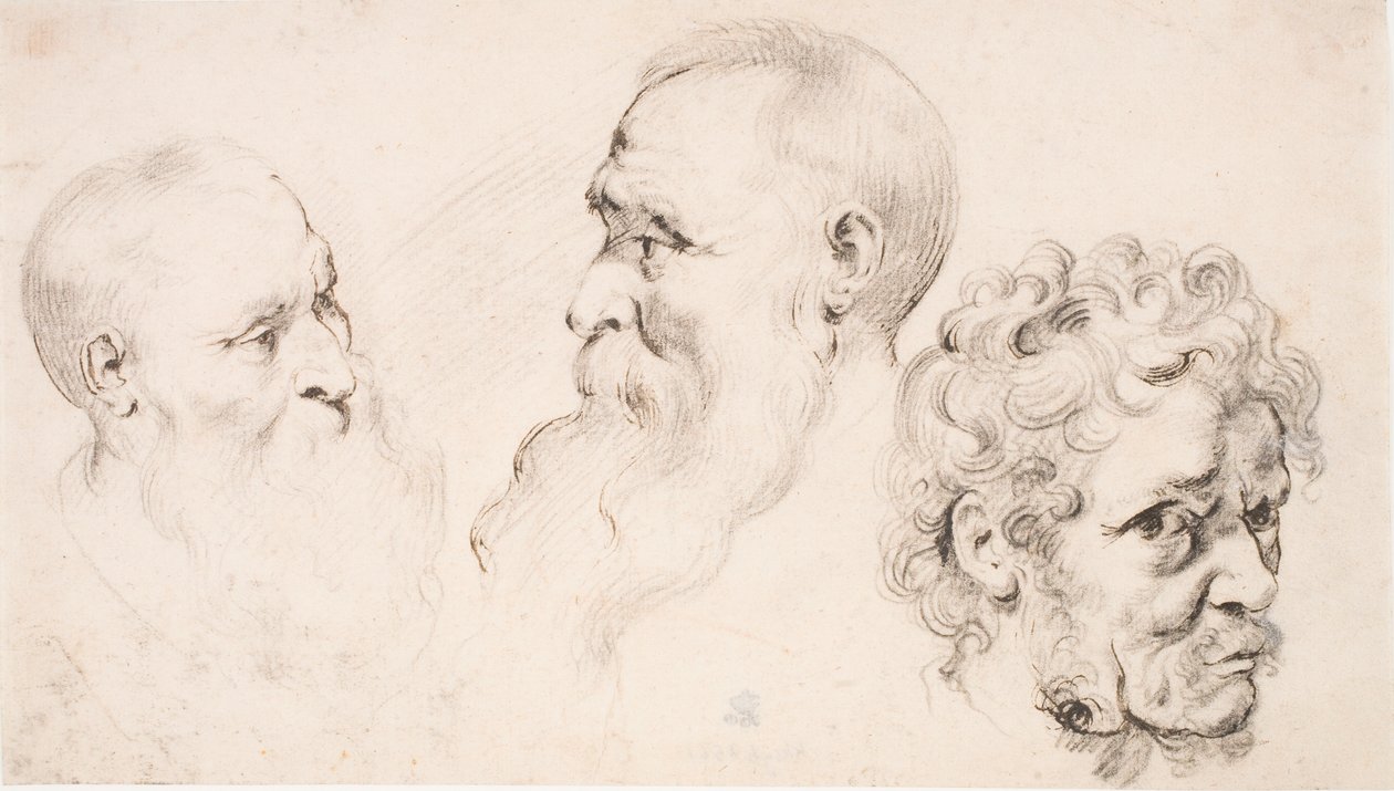 Drie mannenhoofden door Peter Paul Rubens