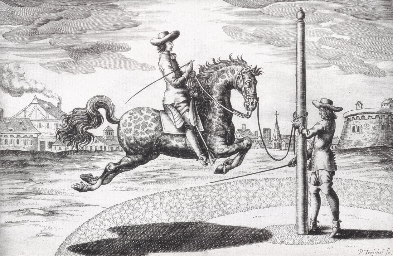 Een Paard en Capriole uit Nieuw Verhandeling voor het Fokken van Paarden geschreven door Winters, Stuterey en Reit-Schul, gegraveerd door de kunstenaar, uitgegeven 1672 door Peter Paul Troschel