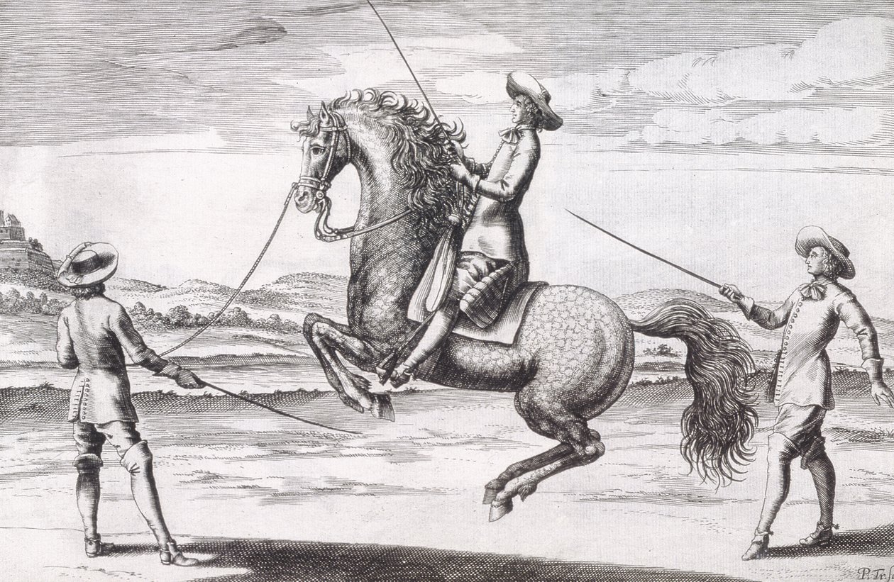 Illustratie van een paard en Croupade uit Nieuw Verhandeling voor het Fokken van Paarden geschreven door Winters, Stuterey en Reit-Schul, pub. 1672 door Peter Paul Troschel