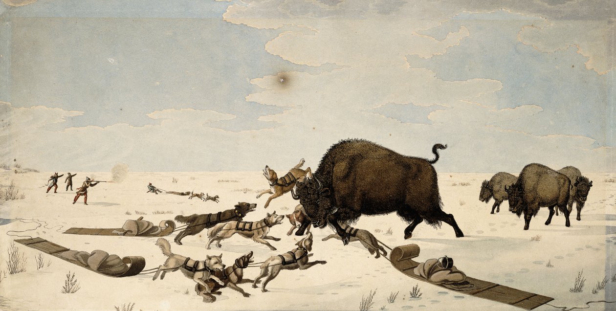 Buffeljacht, ca. 1822-1824 door Peter Rindisbacher