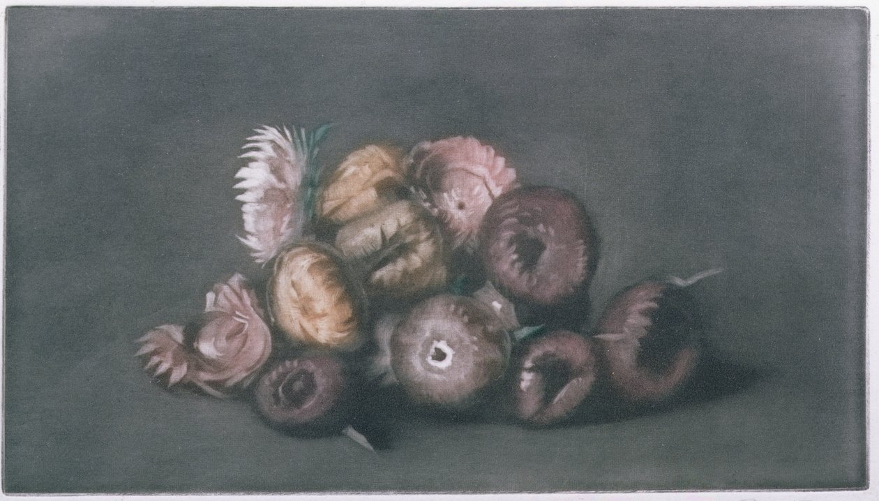 Stilleven van Gedroogde Bloemen door Peter Vilhelm Ilsted