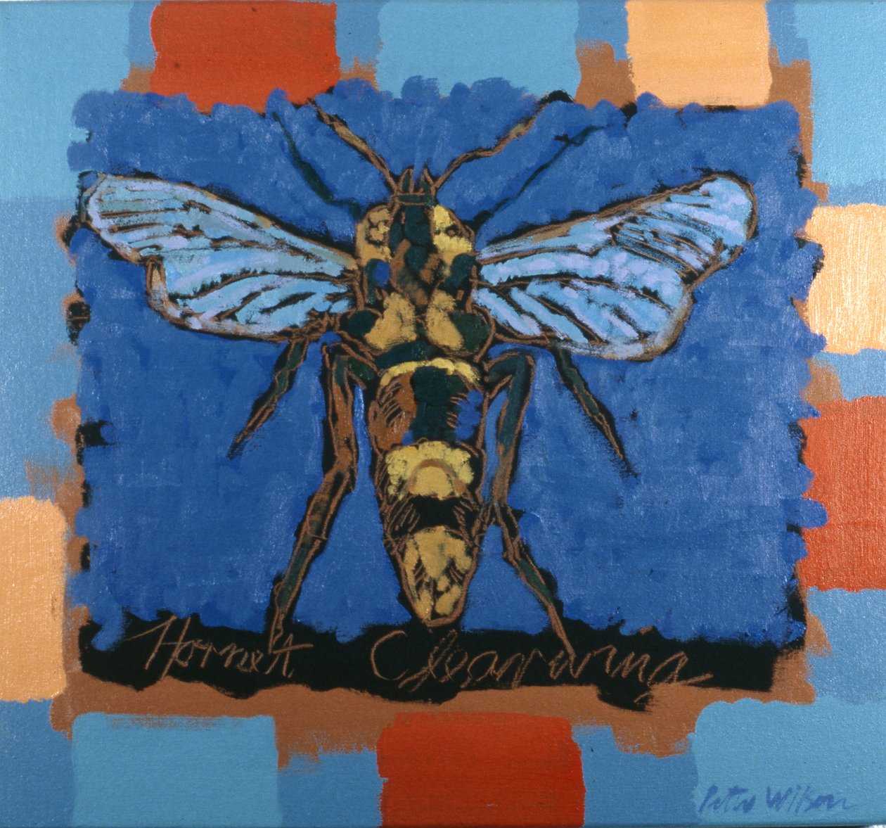 Hornet Clearwing door Peter Wilson