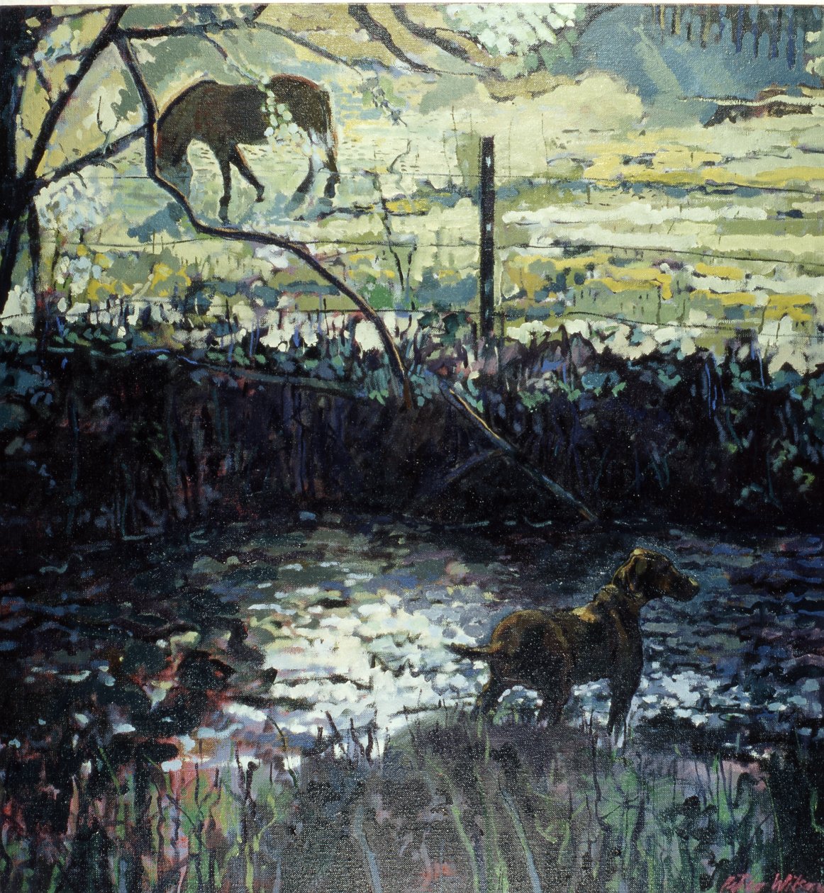 Pony en hond in een veld, 2000 (olieverf op doek) door Peter Wilson