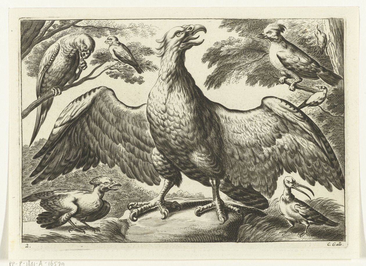 Arend Verschillende vogels (series title) door Peter van Liesebetten