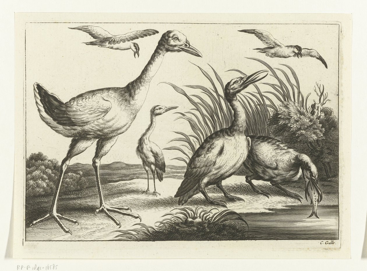 Watervogels door Peter van Liesebetten