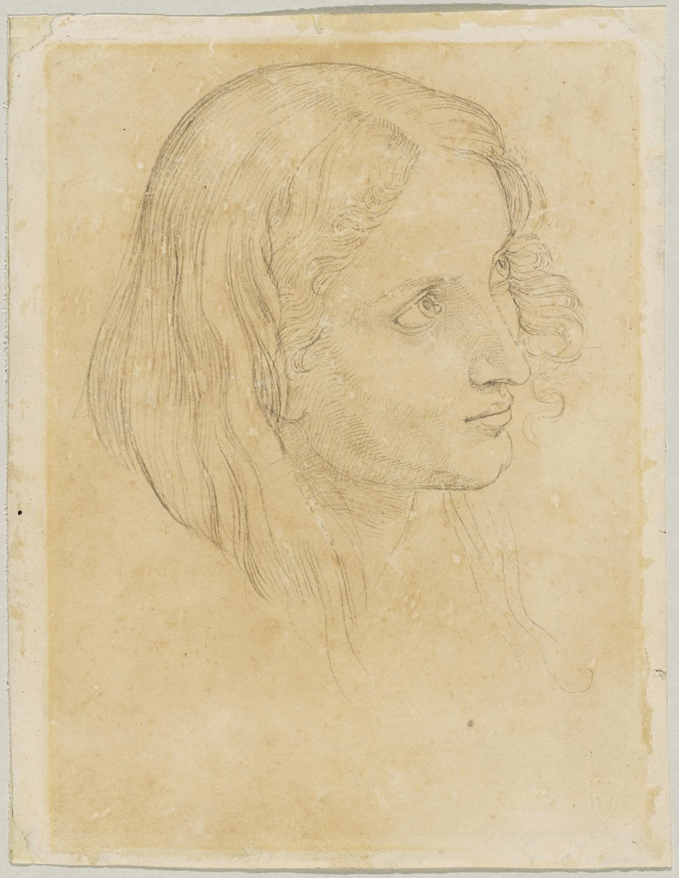 Detailstudie van de schrijver in 