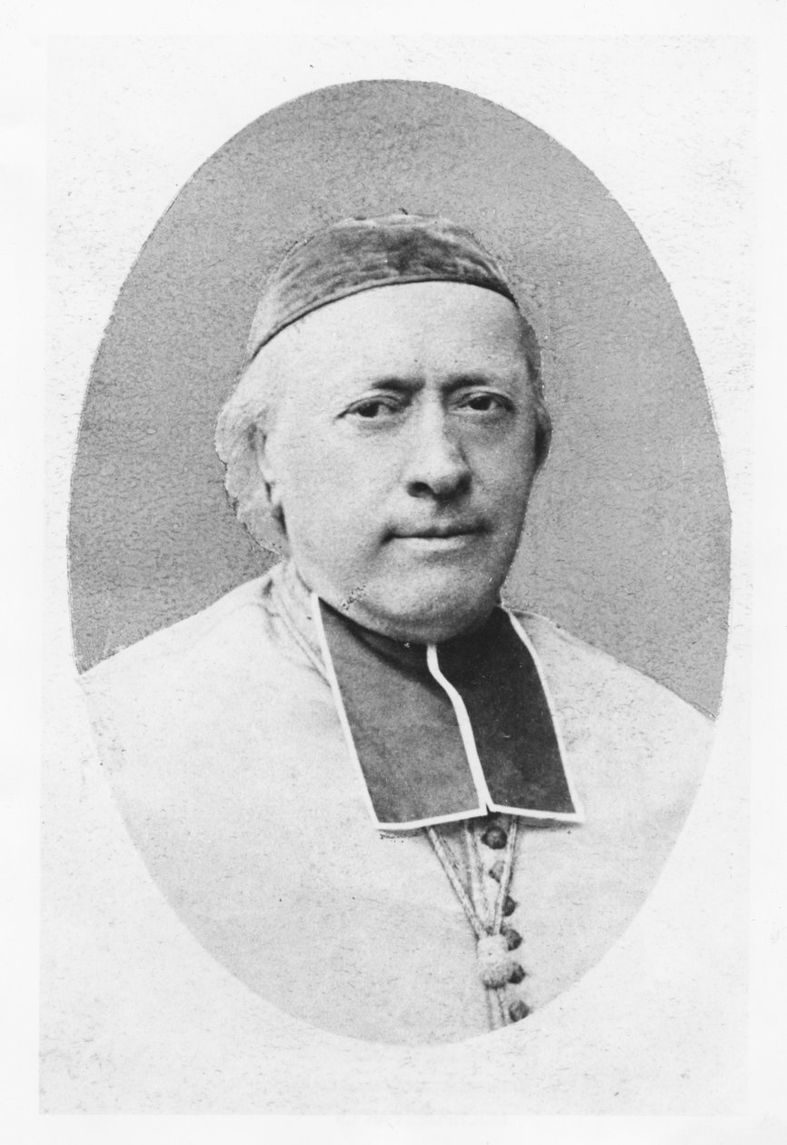 Portret van Charles-Emile Freppel door Petit