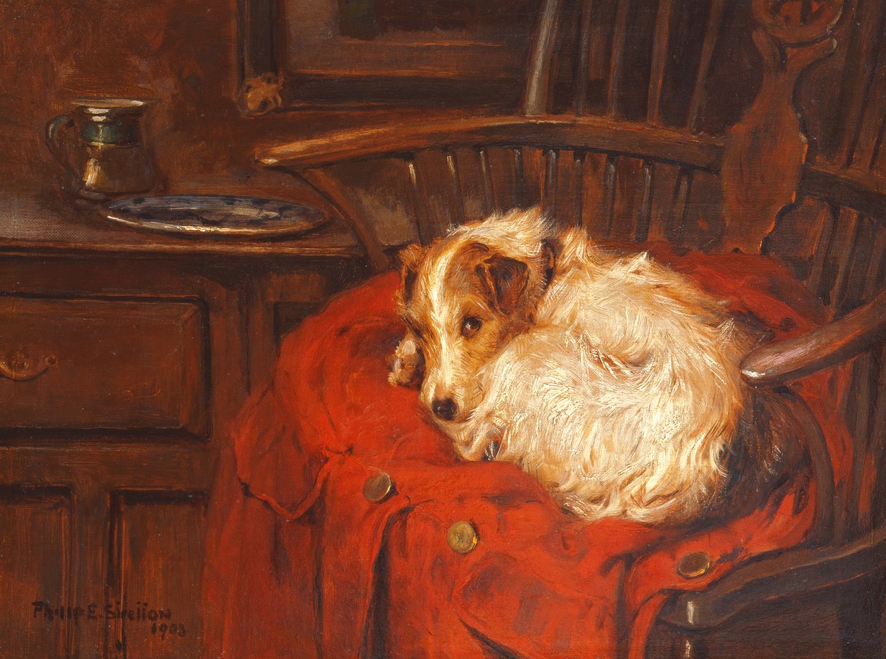 Een Favoriete Stoel, 1903 door Philip Eustace Stretton