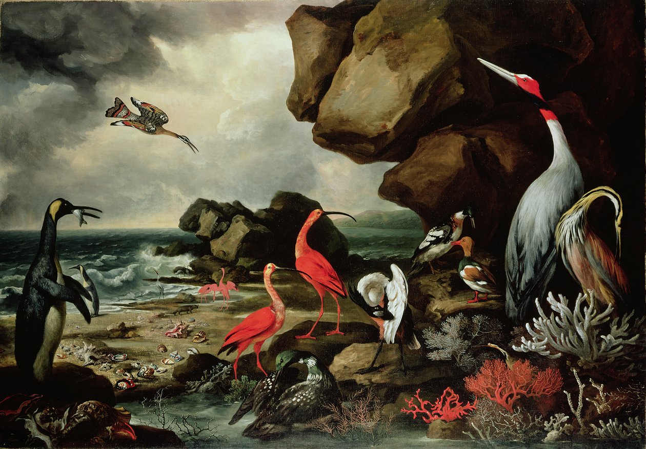 Een Pinguïn, een Paar Flamingo