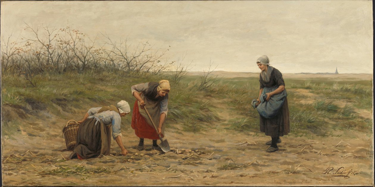 Scheveningse vrouwen bij het nalezen van een gerooid aardappelveld door Philip Sadée