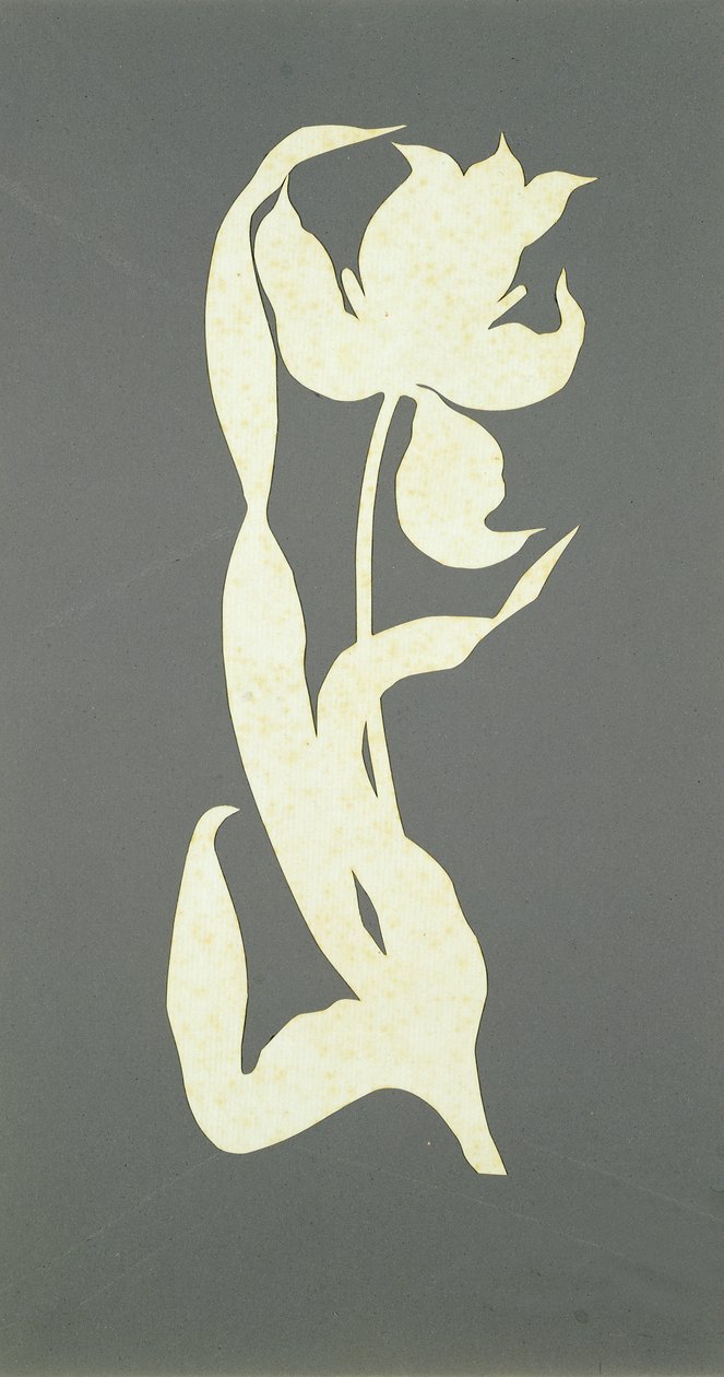 Tulp door Philipp Otto Runge