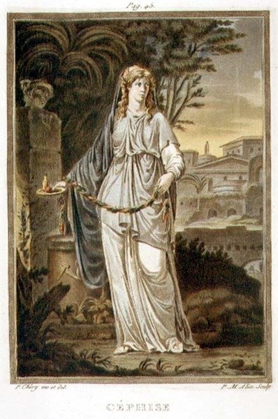 Cephise, kostuum voor 