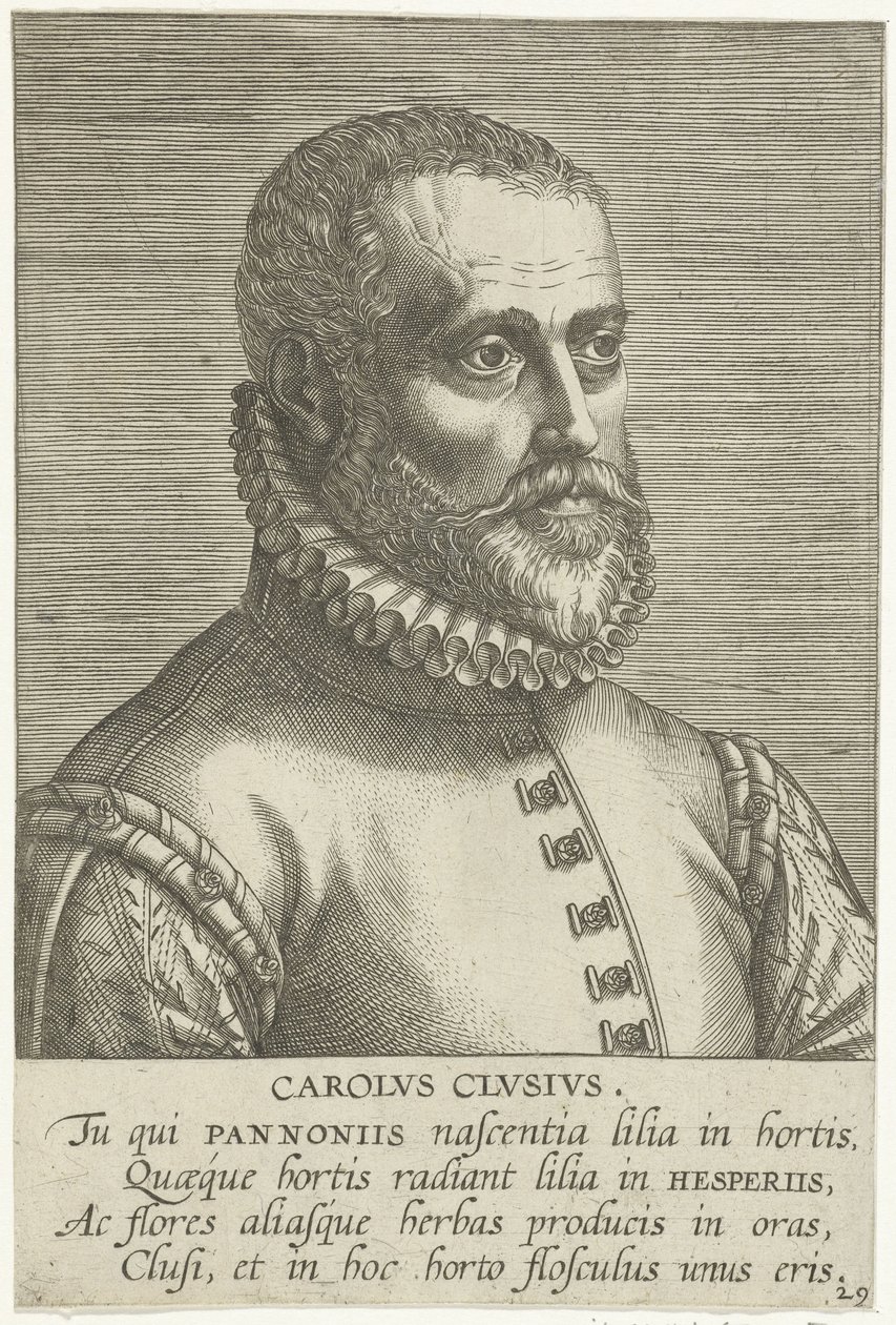 Portret van Carolus Clusius door Philips Galle