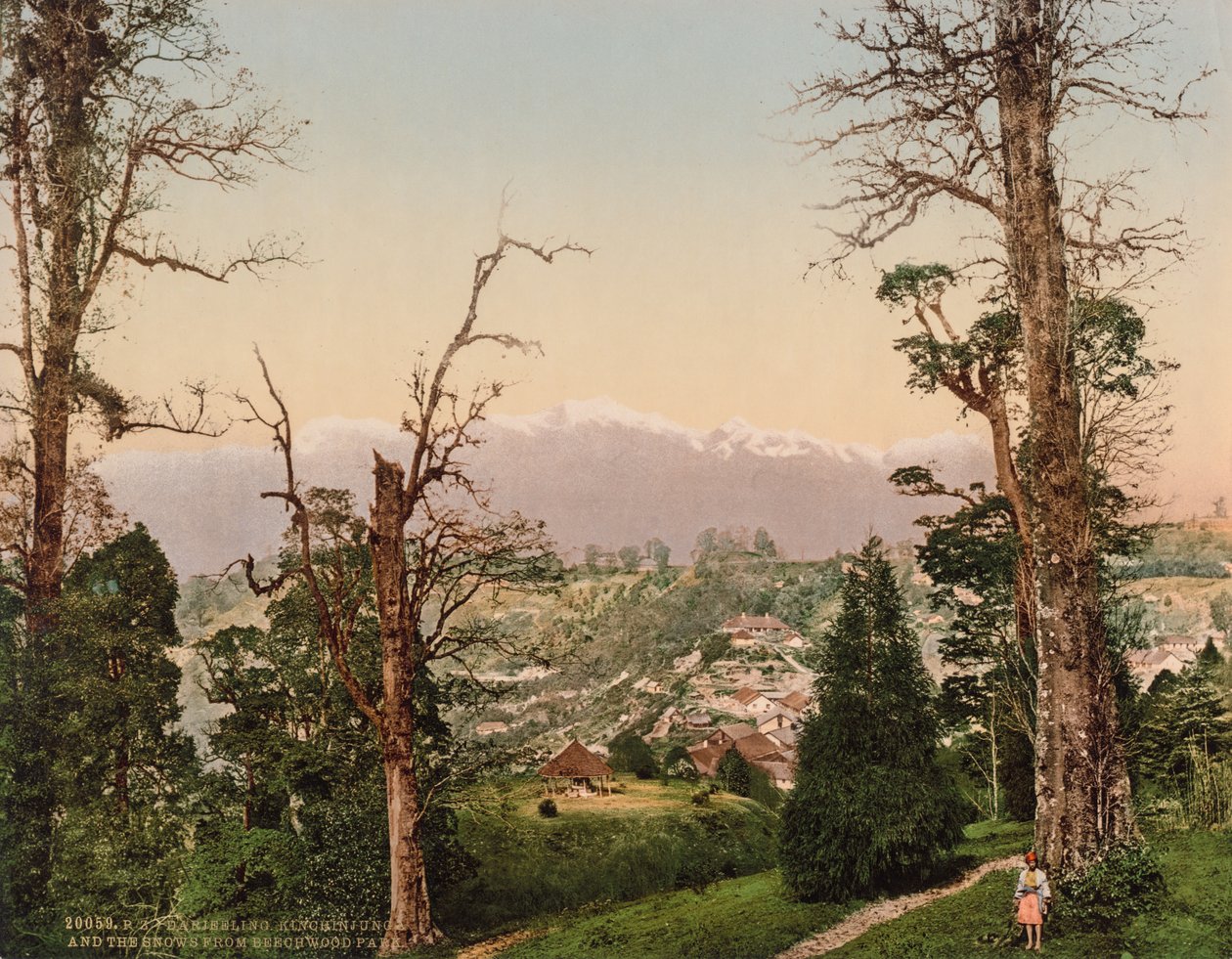 Darjeeling. Kinchinjunga en de Sneeuws van Beechwood Park door Photoglob Co. (Zurich, active c. 1890 1910)