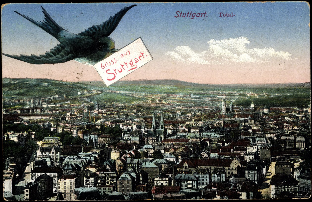 Stuttgart, uitzicht op de stad met zwaluw door Photographer German