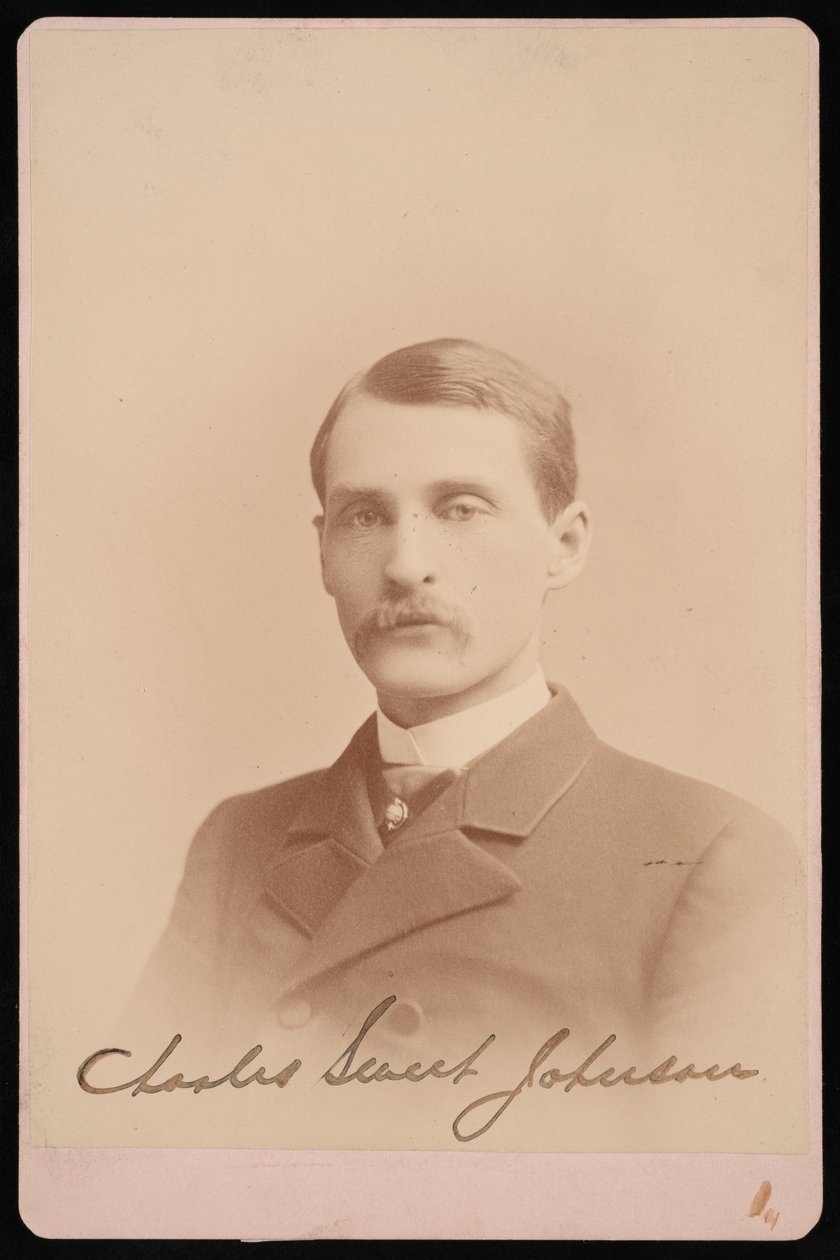 Portret van Charles Sweet Johnson, 1870-1871 door Photographic Art Company