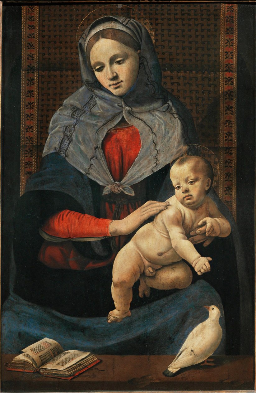 Madonna en kind met een duif ... door Piero di Cosimo