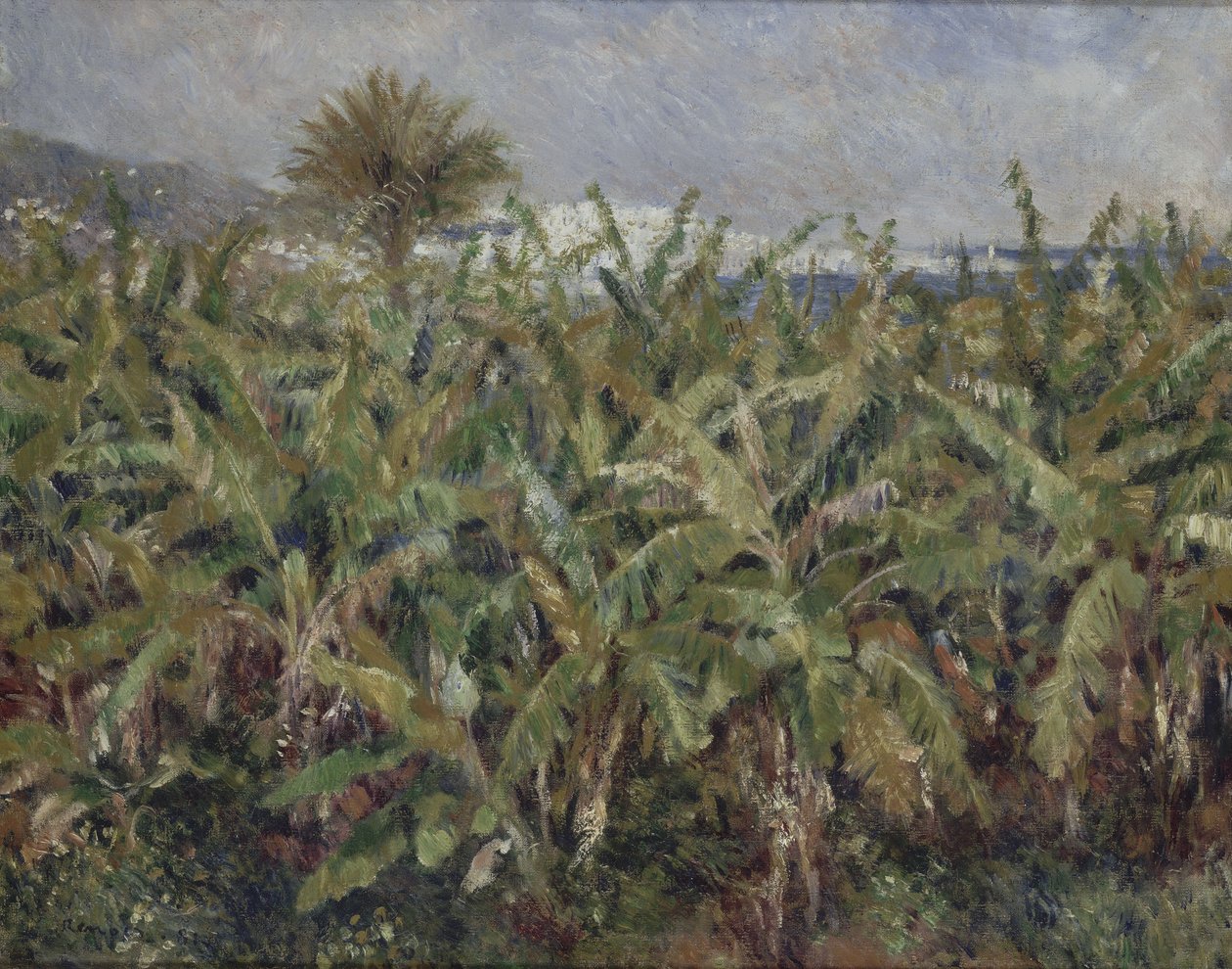 Veld van Bananenbomen door Pierre Auguste Renoir