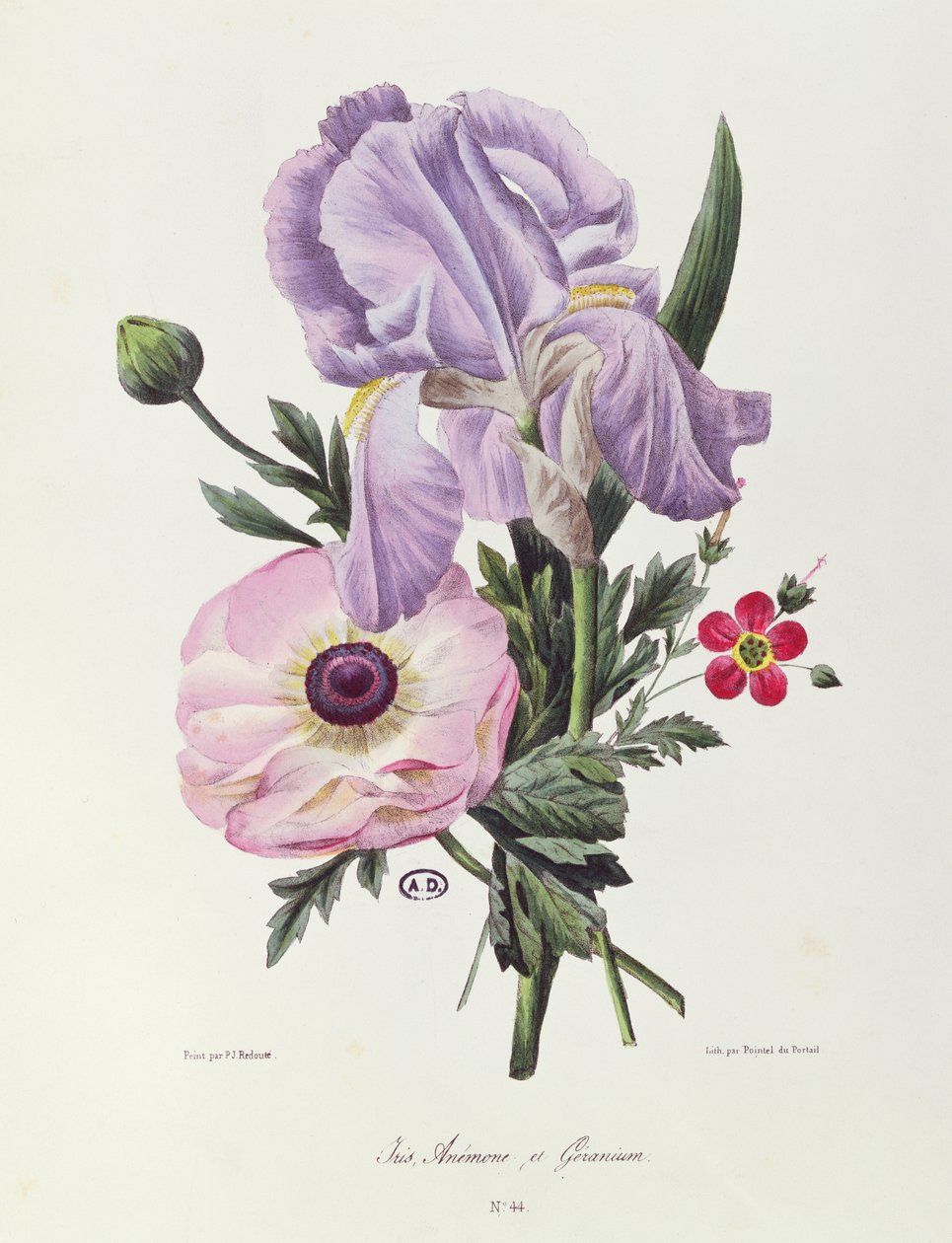 Iris, Anemoon en Geranium, gegraveerd door Pointel du Portail, c.1830 door Pierre Joseph Redouté