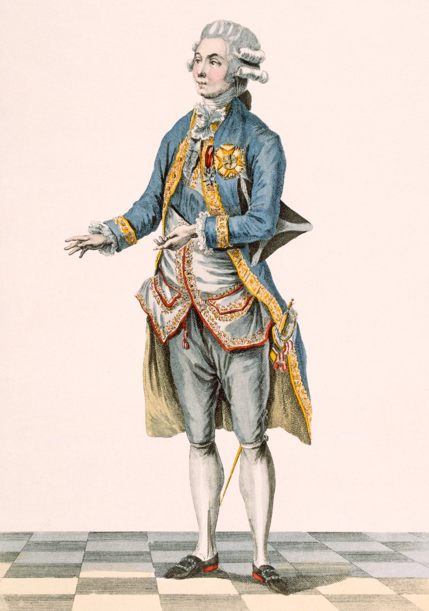 Hertog in zijn ceremoniële kleding afgebeeld aan het hof, gegraveerd door Dupin, plaat uit 
