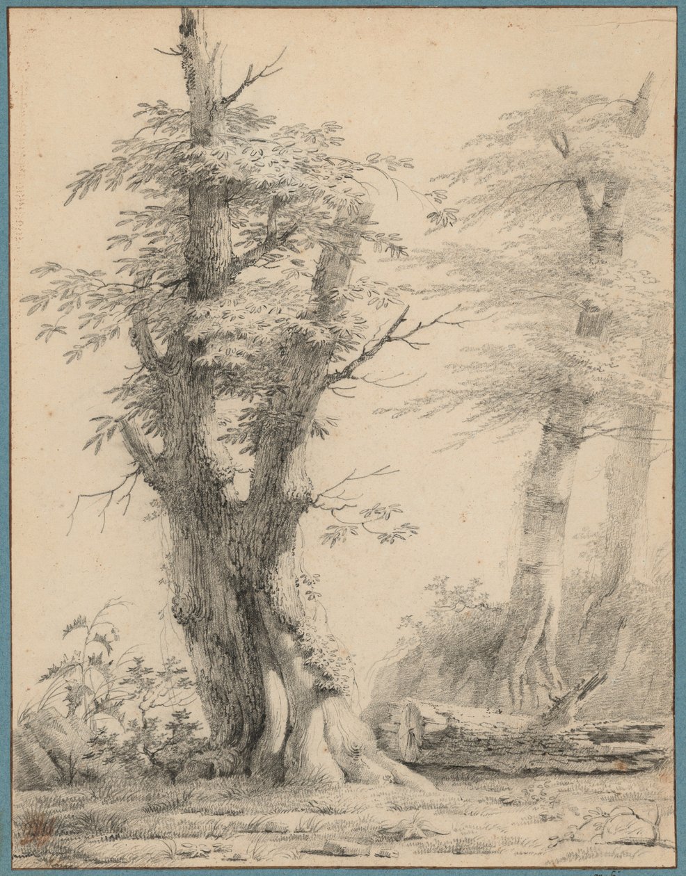 Een groep bomen door Pierre-Henri de Valenciennes