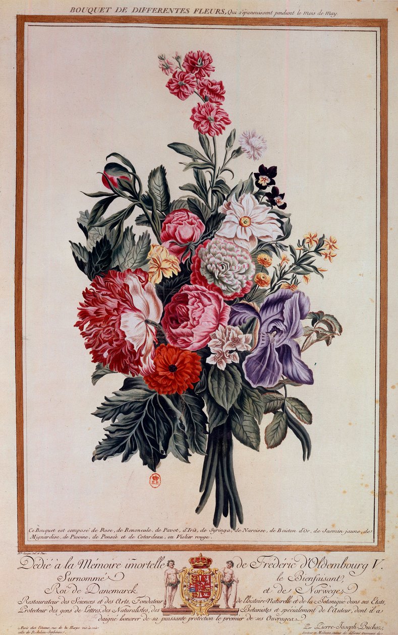 Boeket bloemen mengeling Lithografie door Pierre Joseph door Pierre Joseph Buchoz