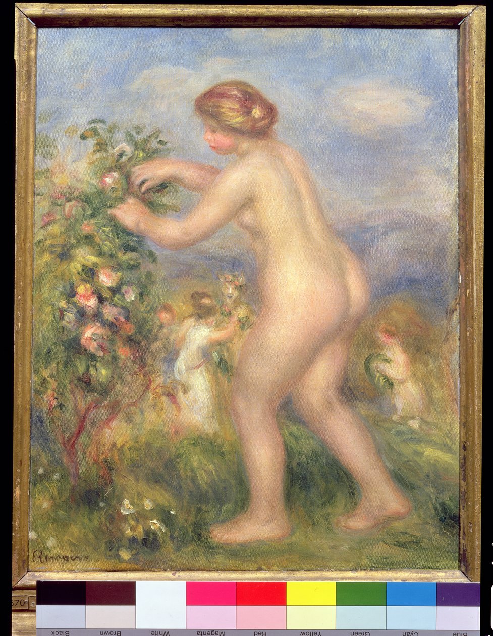Vrouwelijk naakt plukt bloemen door Pierre Auguste Renoir