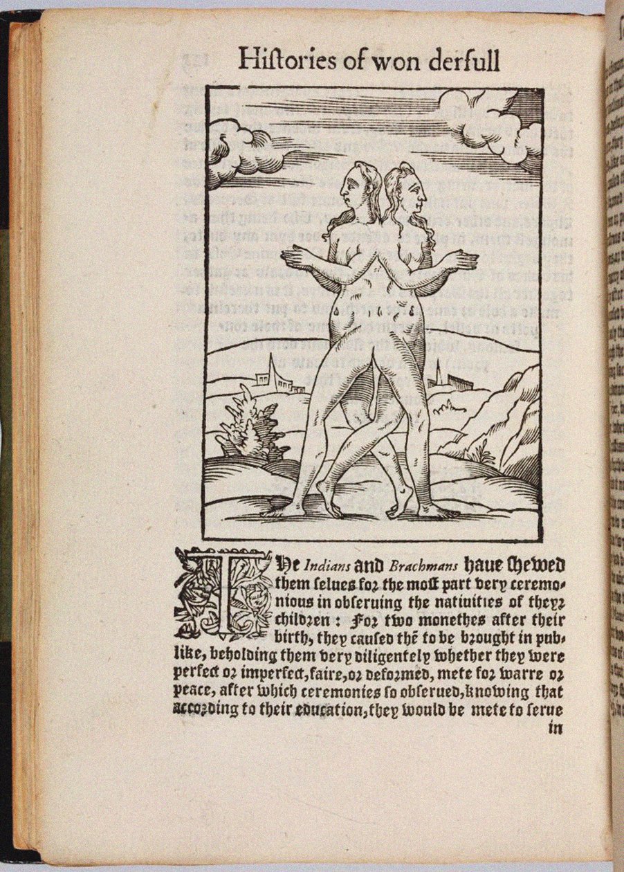 Een verzameling buitengewone verhalen Histoires prodigieuses, 1560 door Pierre Boaistuau