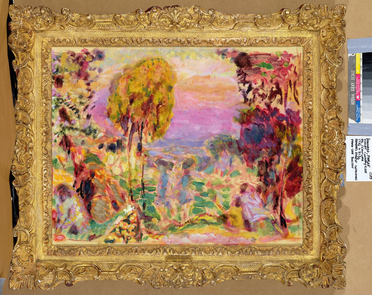 Violet platteland door Pierre Bonnard