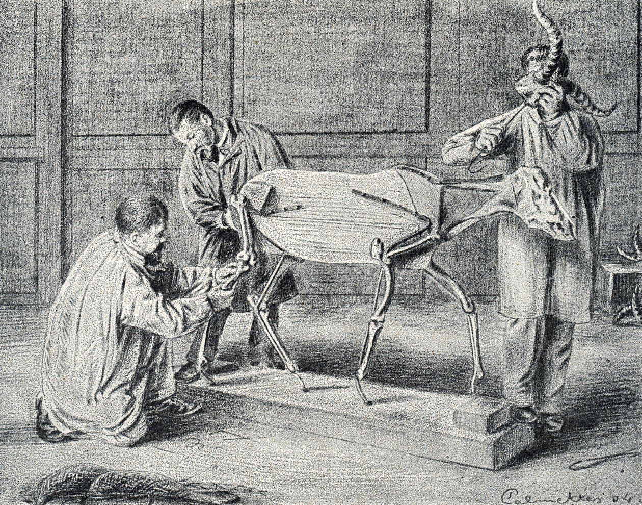 Taxidermie: taxidermisten bereiden het kunstmatige skelet voor in de werkplaats Gravure uit "Excursion a travers les metiers" door Pierre Calmette Privécollectie door Pierre Calmettes