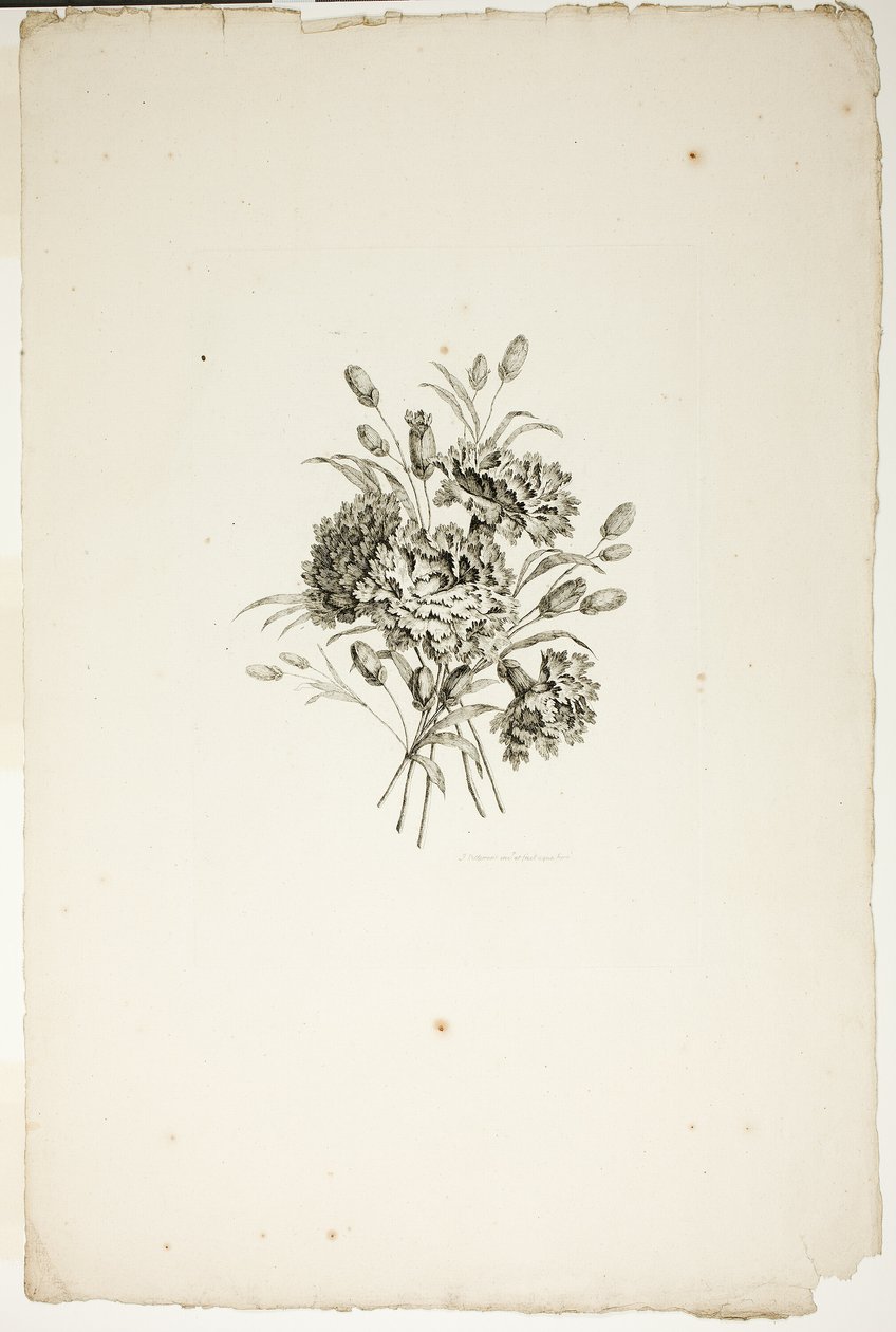 Boeket met anjers, uit de collectie van verschillende bloemenboeketten, bedacht en getekend door Jean Pillement en gegraveerd door P. C. Canot door Pierre Charles Canot