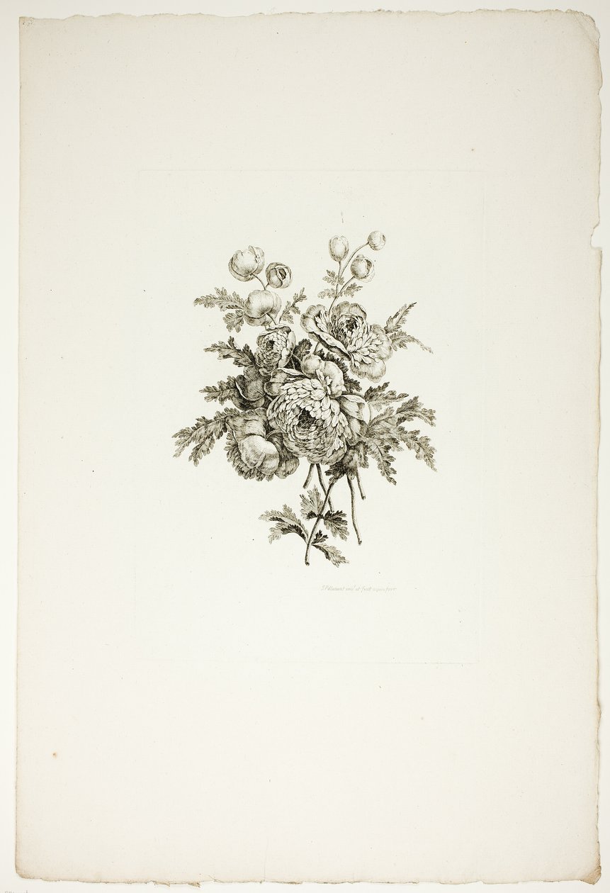Boeket met pioenen, uit een verzameling van verschillende boeketten bloemen, bedacht en getekend door Jean Pillement en gegraveerd door P. C. Canot door Pierre-Charles Canot