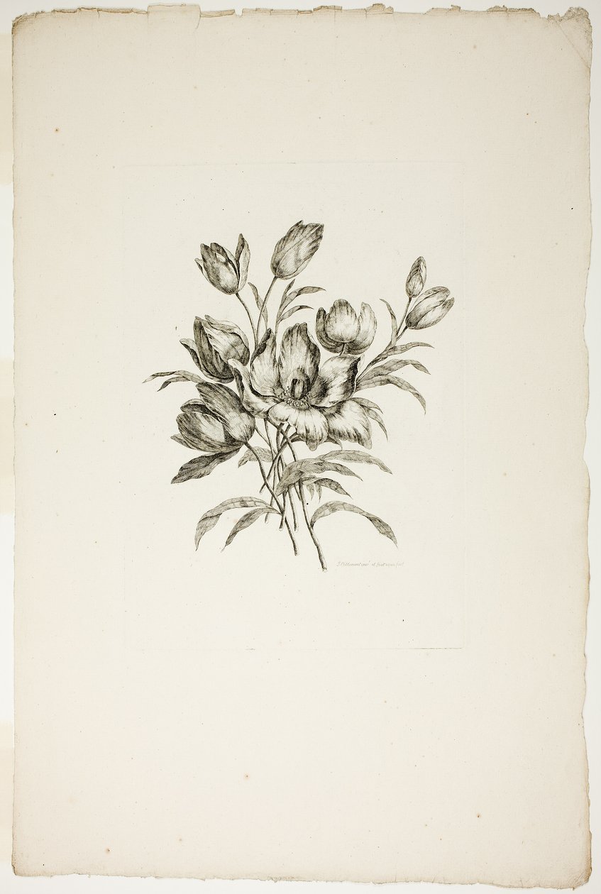 Boeket met Tulpen, uit Collectie van Verschillende Bloemboeketten, Uitgevonden en Getekend door Jean Pillement en Gegraveerd door P. C. Canot door Pierre Charles Canot