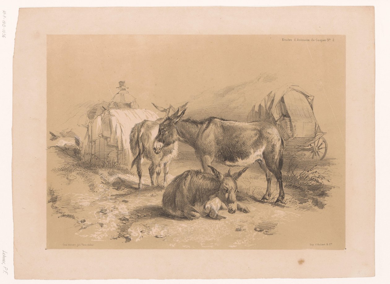 Studie van drie ezels Dierstudies van Cooper (serie titel) door Pierre Frédéric Lehnert