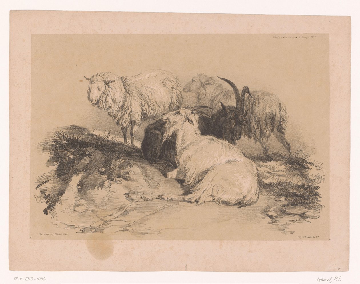 Studie van schapen en geiten Dierstudies van Cooper door Pierre Frédéric Lehnert