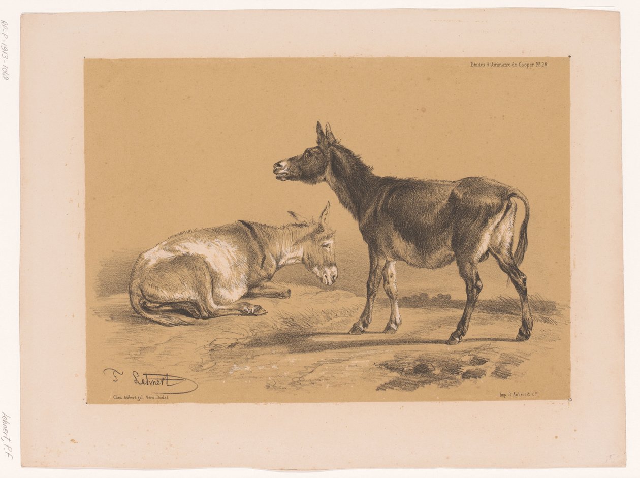 Studie van twee ezels door Pierre Frédéric Lehnert