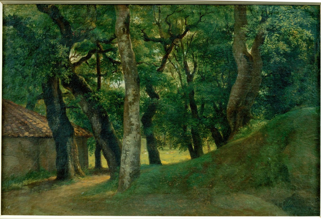 Foret de la Villa Borghese - Bos van de Villa Borghese ... door Pierre Henri de Valenciennes