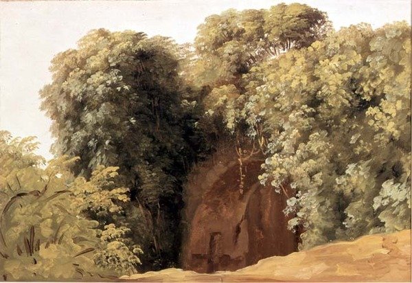 Ruïnes van een arcade met grasclusters door Pierre Henri de Valenciennes