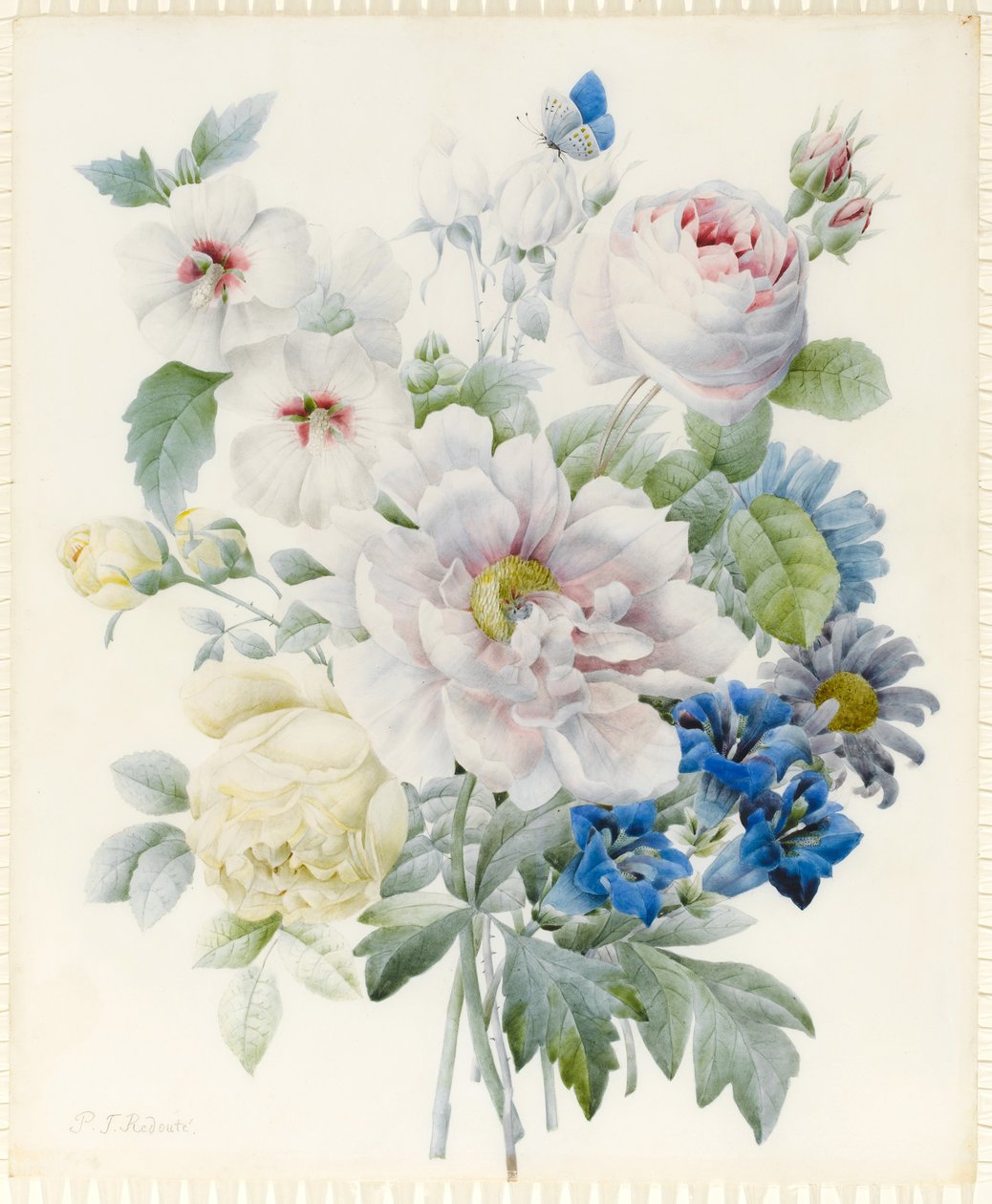 Een bos bloemen inclusief een pioenroos, rozen, hibiscus, asters, gentiaan en een denkbeeldige blauwe vlinder door Pierre Joseph Redouté