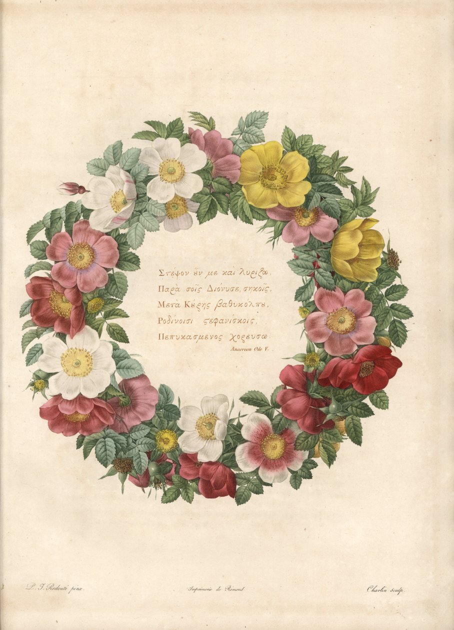 Kroon van rozen met een Griekse motto - Ets door Charlin, naar een illustratie van Pierre Joseph Redoute (1759-1840), uit Les Roses door Pierre Joseph Redouté
