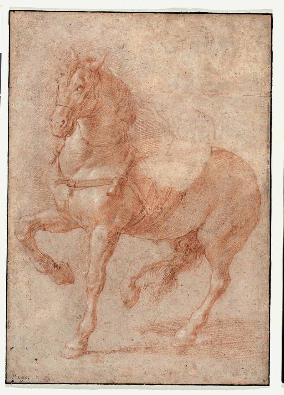 Studie van Bucephalus voor het reliëf "Alexander en Diogenes". door Pierre Puget