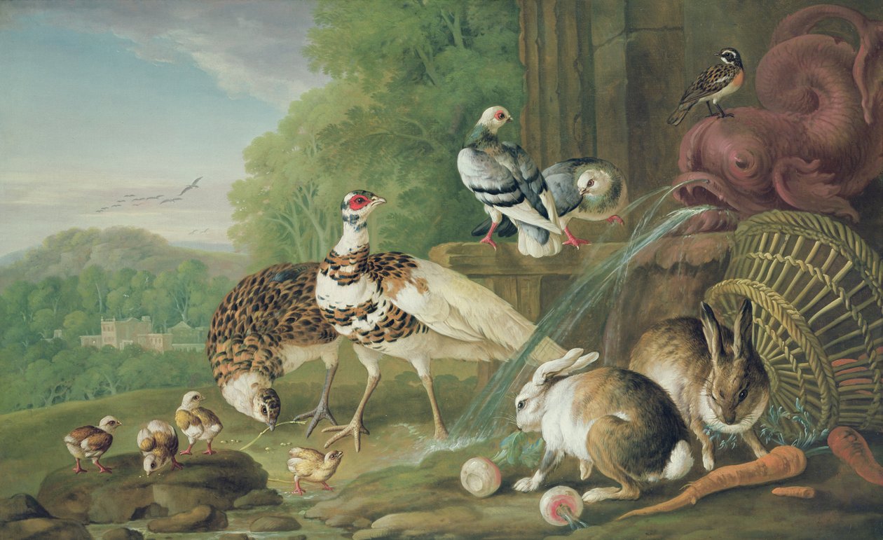 Vogels en Konijnen door Pieter Casteels